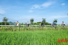 骑行美丽乡村