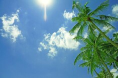 三伏天带娃不用慌！“五健门诊”专家送来这份“清凉”育儿宝典
