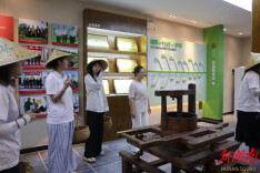 把美学种进靖港茶垄里 湖南师大美院学子开展三下乡活动