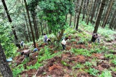 湖南林下经济产值破670亿元 国家级示范基地数量全国第一