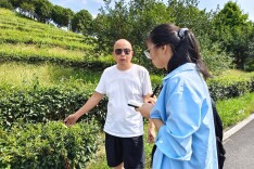 师大学子深入炎陵茶乡调研 探寻神农文化赋能茶产业路径