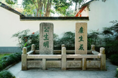 辛小湘丨强健自身，“公”与“廉”就是底气