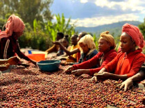 China Rises to 3rd-largest Buyer of Ethiopian Coffee: Industry Authority