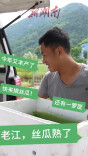 视频 | 中方县农户返乡创业“种瓜得瓜”