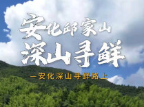 懂湘寻鲜｜庆哥，自信点！罗奶奶不仅留你们吃饭，还把私房钱都偷偷塞给你
