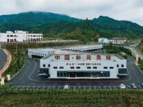 新晃黄精，从湖南“鼻尖”到世界舌尖！《湖南日报》头版头条关注→