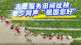 隆回白窑山村：田间志愿红映良田 干群学子同解农忧