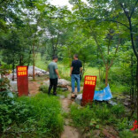 向绿而行 溆浦县龙潭镇“治养”并举筑牢生态屏障