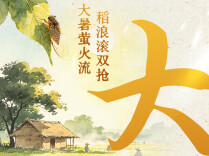 海报丨今日大暑：大暑萤火流，稻浪滚双抢