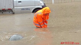 暴雨中挺起市政担当——怀化市市政设施维护中心防汛排涝见闻