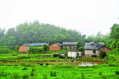 湘潭县顶峰村：山乡巨变，古韵长存