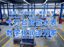 海外视角探新区丨智能水表润泽万家