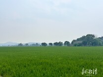 湘潭耕地置换“山上换山下”改革纪实