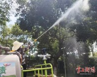两轮灭治、持续到9月！衡阳滨江绿地打响盛夏护绿“攻坚战”
