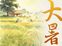 大暑节气