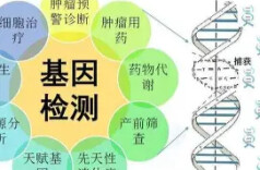 血液基因检测让九成早期胰腺癌“现形”