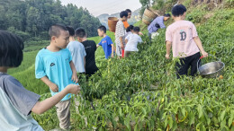 耕读苗乡育新苗 非遗传承润童心