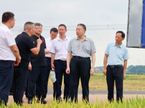 毛万春在常德市调研
