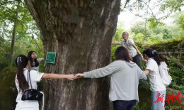 永顺县高坪乡统筹高校力量赋能村史馆建设