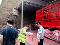 直排废气污染环境！长沙一非法喷漆作业点被查