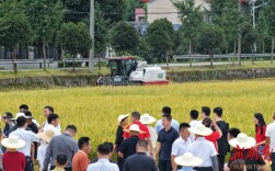 智慧农场“双抢”忙