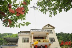 炎陵黄桃“坐”上了无人机