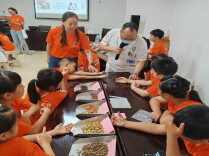 识本草传薪火 科普润育少年心——资兴市开展中医药文化暑期科普实践活动