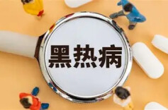 暑假游玩多注意：被这种昆虫叮了，可能感染寄生虫
