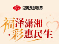 一图了解 | 2025年湖南福彩公益金使用情况