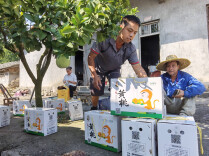 青春种出“振兴花” ——三位青年驻村人扎根锦岩村实干兴乡的故事
