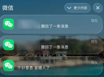 “你撤回了一条消息”，能悄悄删了？