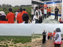 “给沙漠系上绿围脖”—— 湘疆青年在石榴园铸牢中华民族共同体意识