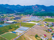 农业农村部：2900多万农户顺利签订二轮到期土地延包合同