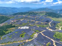 国家能源局首次发布绿证价格指数 该指数有哪些具体作用？