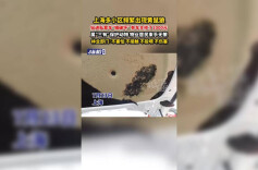 上海多小区频繁出现黄鼠狼，钻进私家车“搞破坏”，有车主修了2000元，属“三有”保护动物，物业居民束手无策，林业部门：不害怕、不接触、不投喂、不伤害