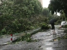 国家防减救灾委对广东启动国家四级救灾应急响应