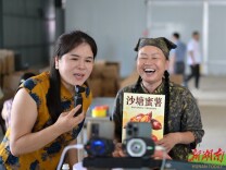直播带货助“沙塘蜜薯”出湘