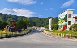 桂东：高山种好“业” 寨前绘富景
