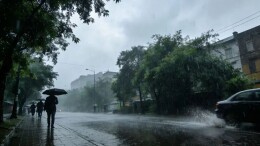 “红霞”来袭！岳阳最大风力11级！局地暴雨大暴雨