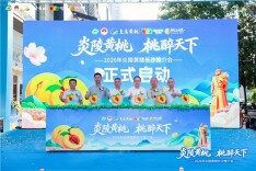 政府搭台、渠道赋能，绿叶水果沉浸式推介炎陵黄桃
