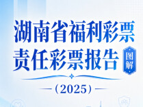 图解｜《湖南省福利彩票责任彩票报告（2025）》