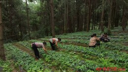 会同积极探索生态产品价值实现新路径