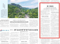 湖南日报要闻｜林下掘金——岳阳县深化林权改革见闻