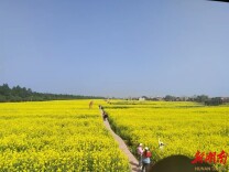 乡村产业兴  百姓日子红  衡阳市：产业化带动农业提质增效
