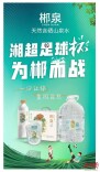 海报丨郴泉为郴州队加油