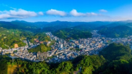湖南日报·党代会观察丨桂东：在82%的森林覆盖率里，种出“长寿”产业