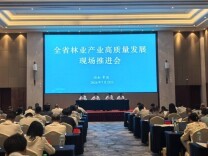 加快告别“卖原料”老路 湖南林业布局产业链跃升