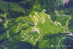 永定这五年丨产业，生机勃发！