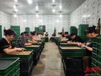雨花区：褪去工业旧底色 巡察赋能绿心新活力