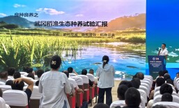 武冈丰科合作社入选全国稻渔共富典型案例